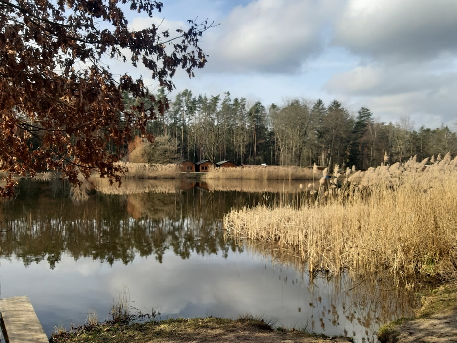 Hradec  Král. -Výskyt -Koliba -Šanovec -Na Plachtě