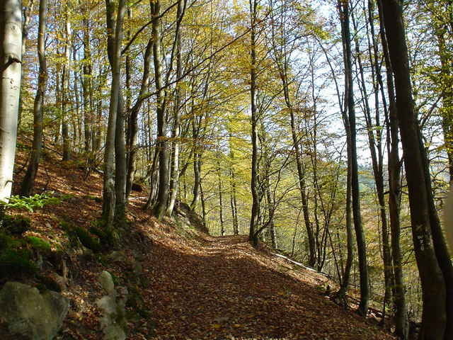 Mollseifen-Winterberg-Orketal