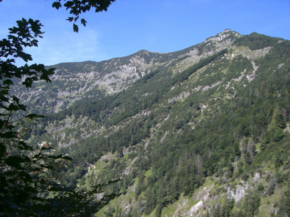 Leonsberg (Zimnitz) Bad Ischl
