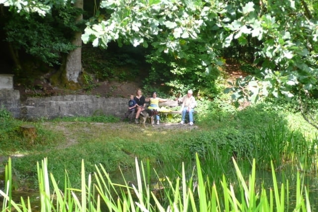 Romantischer Friedleinsbrunnen im Steigerwald