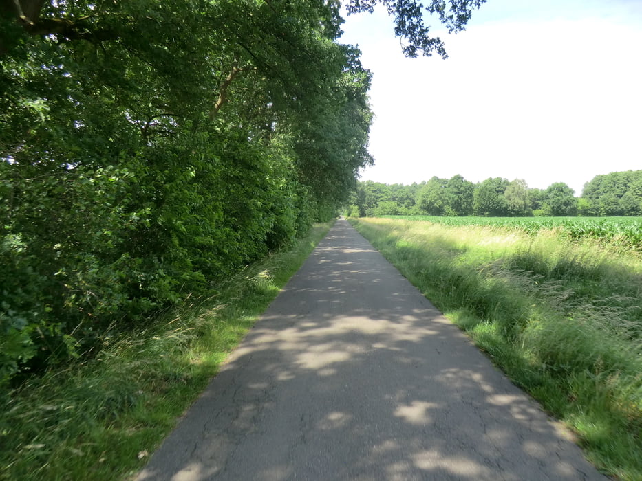 Rund um Hochmoor