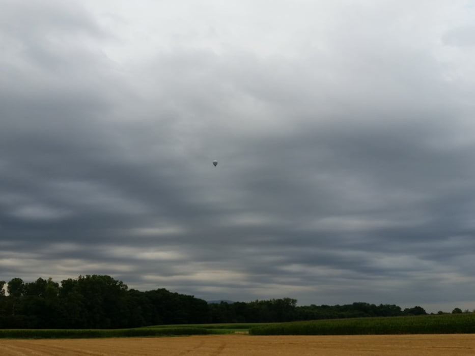 Bühler Landpartie