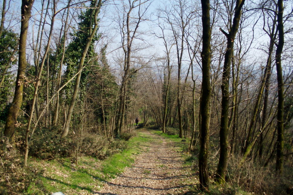 Monte Rosso