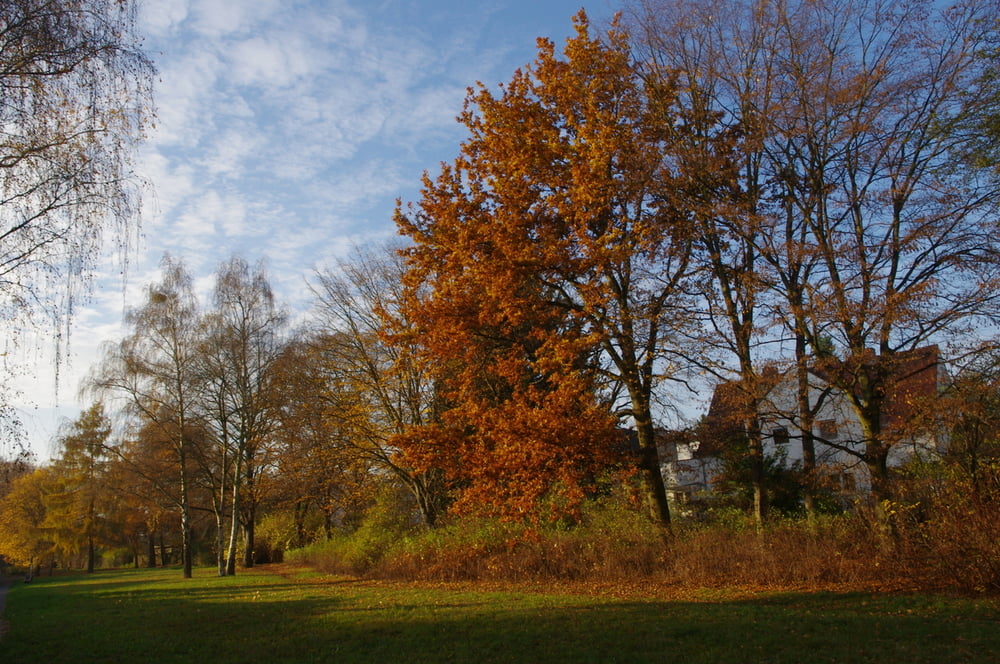 In Lankwitz