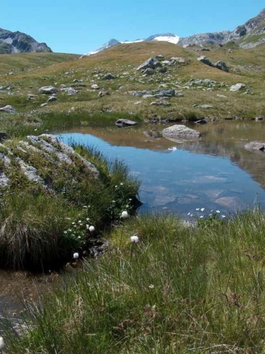 Plaun da Greina, eines der grossen Naturschutzgebiete der Schweiz