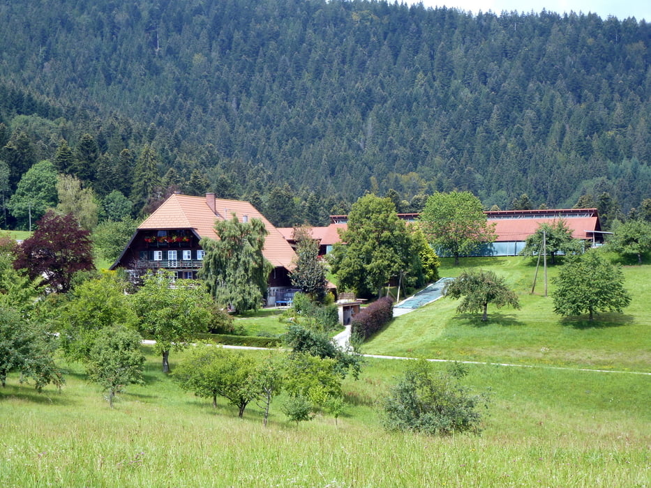 Baiersbronn Schenkenzell Kuhberg und zurück