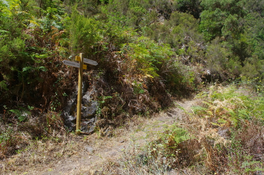 Holzschlucht (Barranco de la Madera)