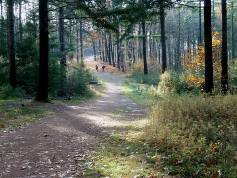 Salland Trail