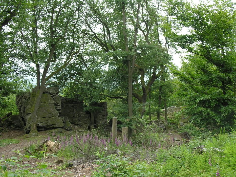 Forellengut-Obernhain-Saalburg-Hirschgarten-Forellengut