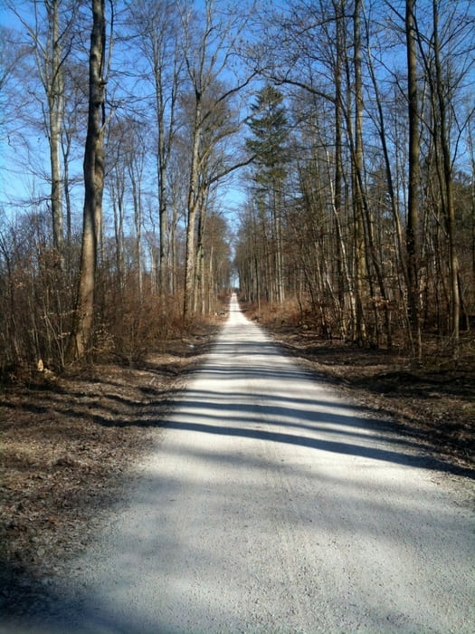 den Geisberg hinauf im Februar