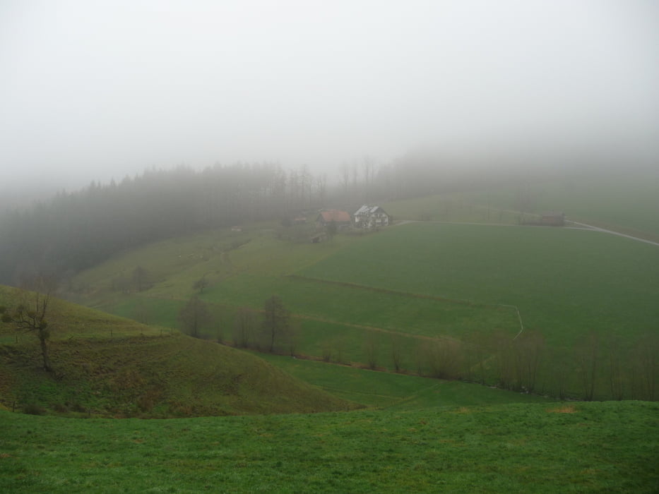 Friesenheim-Freiburg (HptBhf)
