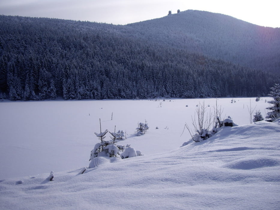 Arber Schneeschuhwanderung