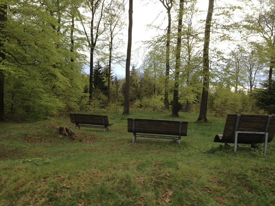 Siegen-Lahnhof-Rothaarsteig-Jagdberg
