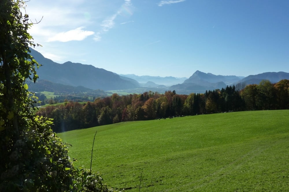 Rund um den Spitzstein