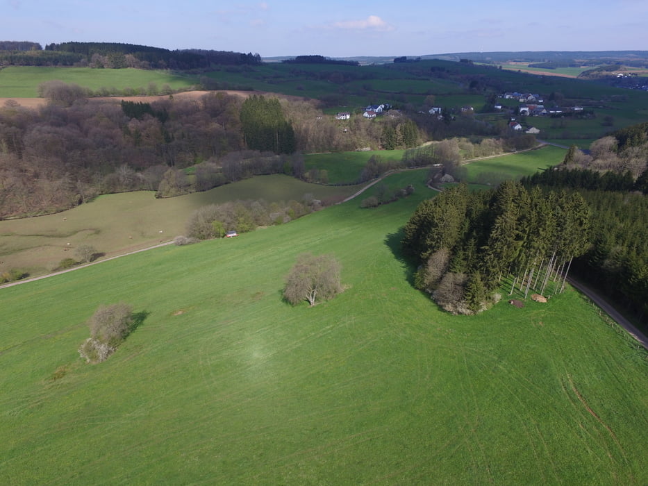Wandeling van Obermehlen naar Prum