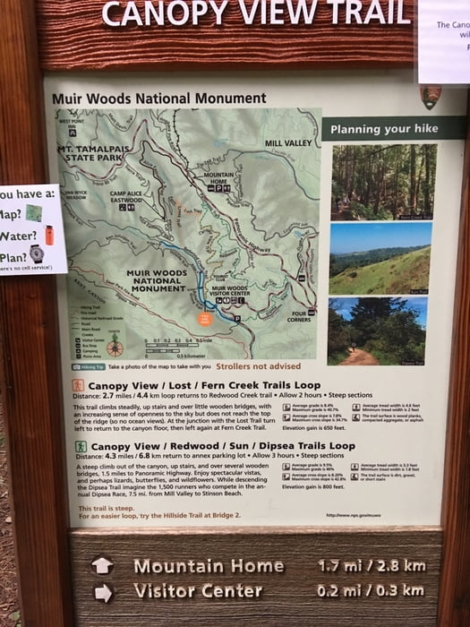 Muir Woods Loop (Canopy View Trail)