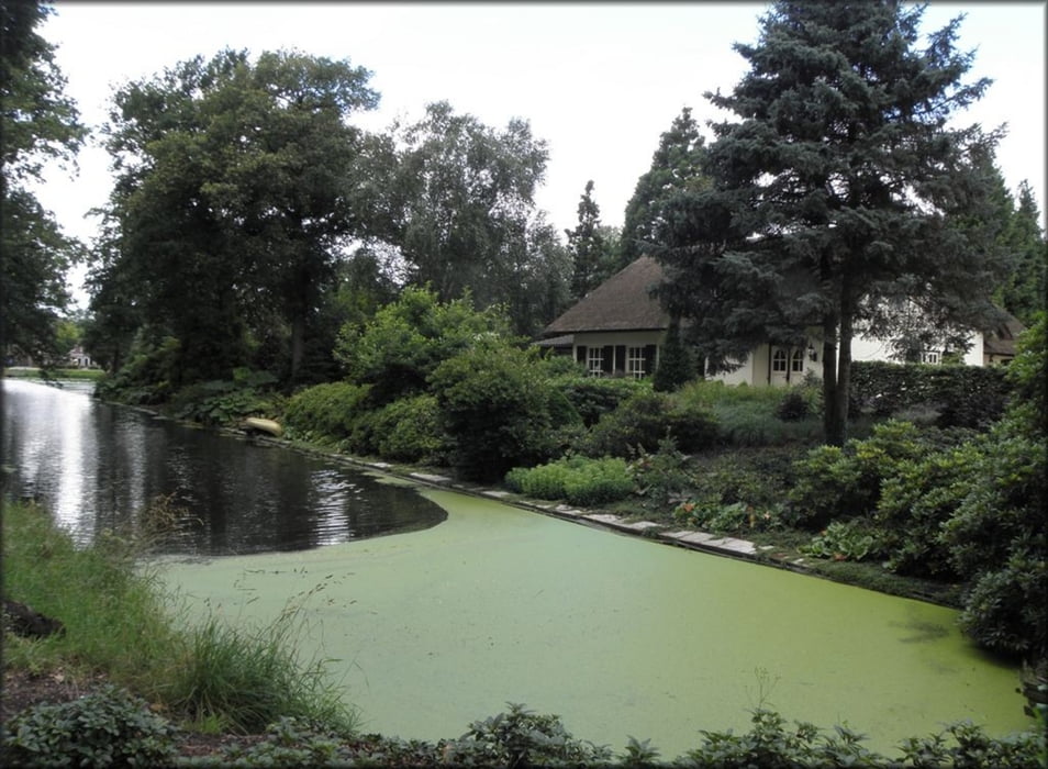 Rondwandeling Grashoek - Helenaveen
