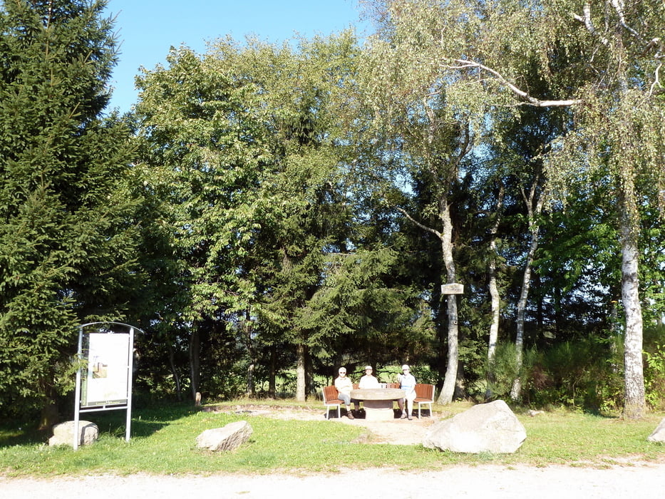 Fohrenbühl Wanderung