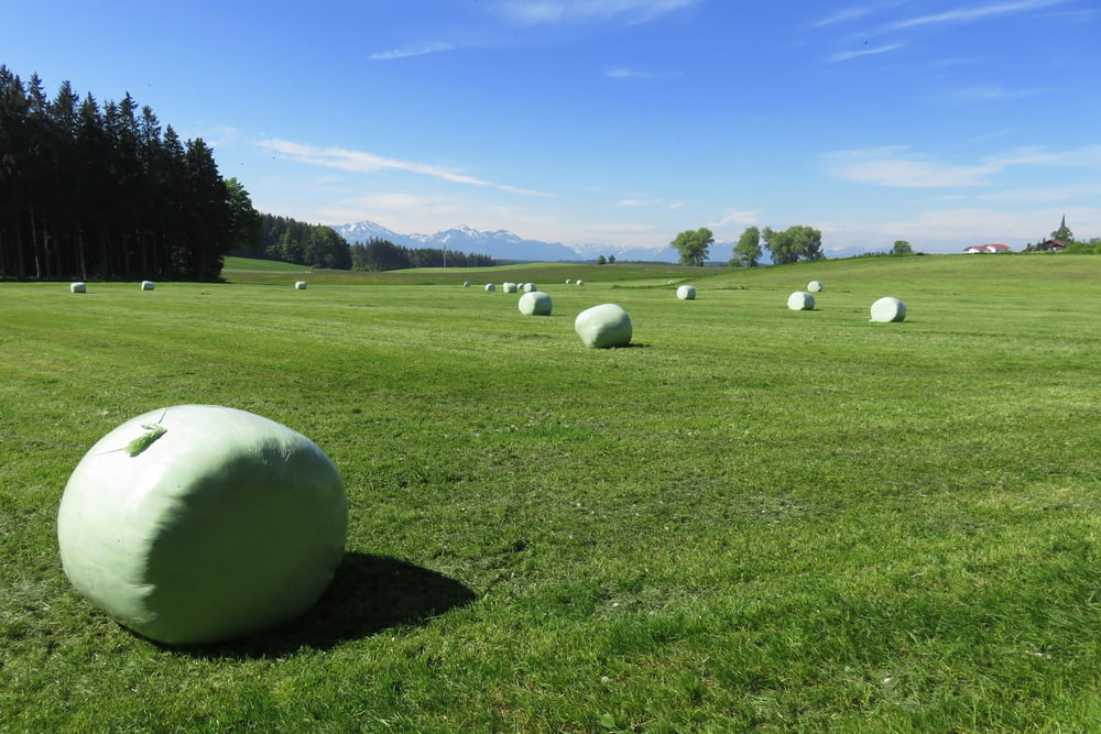 Wester- Osterbuchberg und Hochberg-Runde