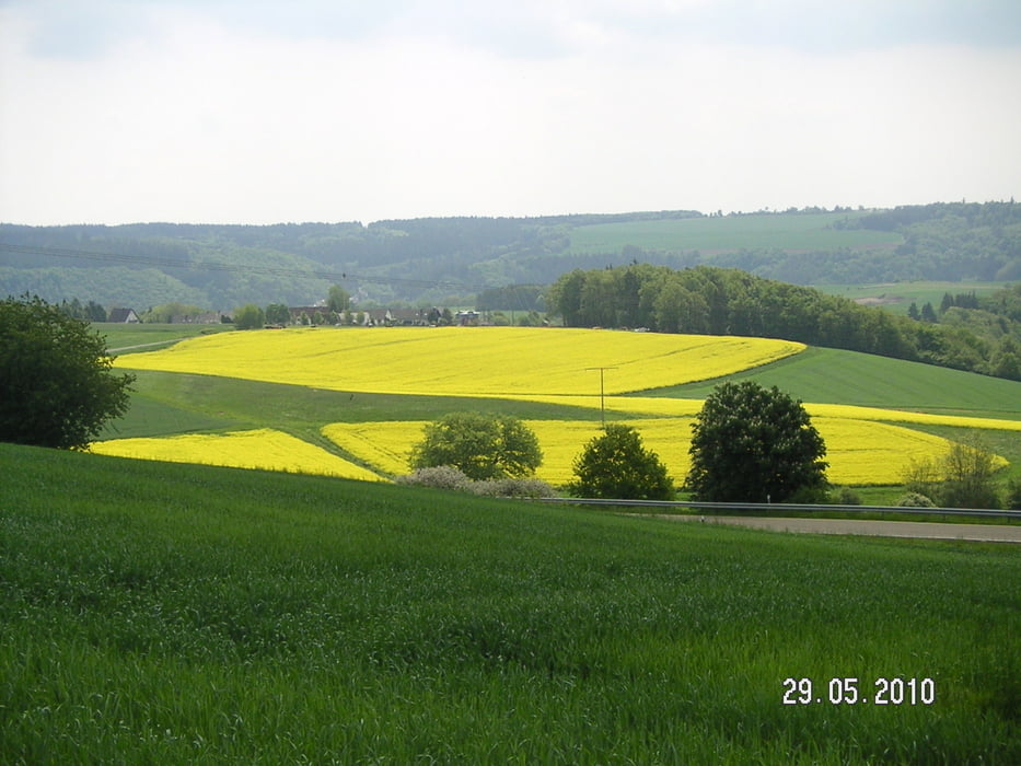 Traumpfad Wanderather, eine Rundtour im LK Mayen-Koblenz