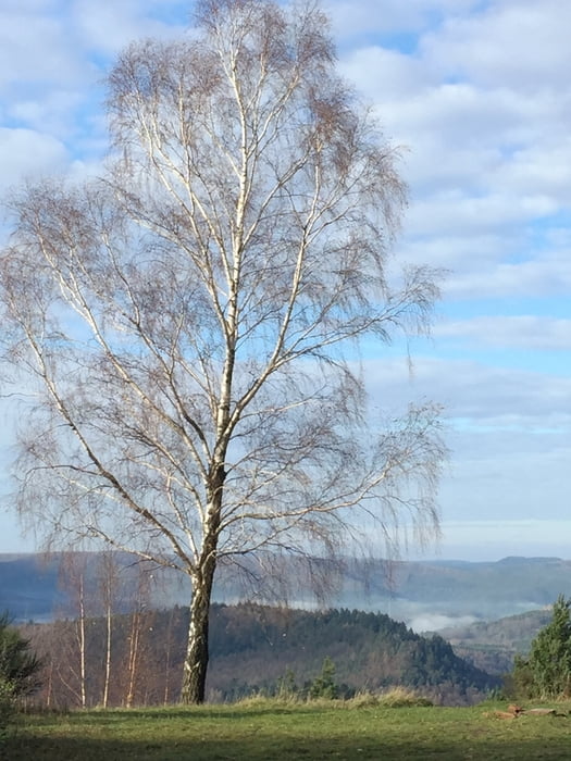 Von Dörrenbach zum Hirzeckhaus im Pfälzer Wald
