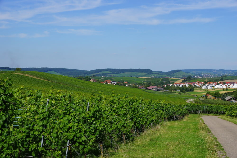 Lehrensteinsfeld
