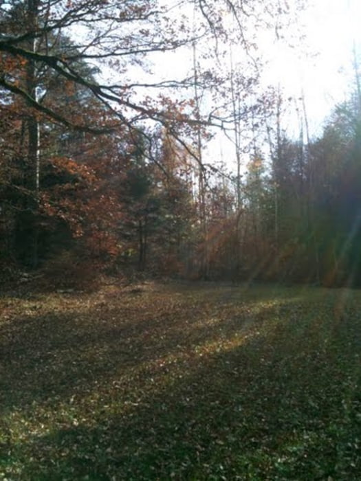 Buchserberg und Valspuus