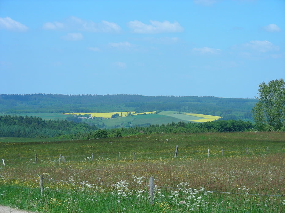 Schüller - Ahrmühle - Ripsdorf - Schüller
