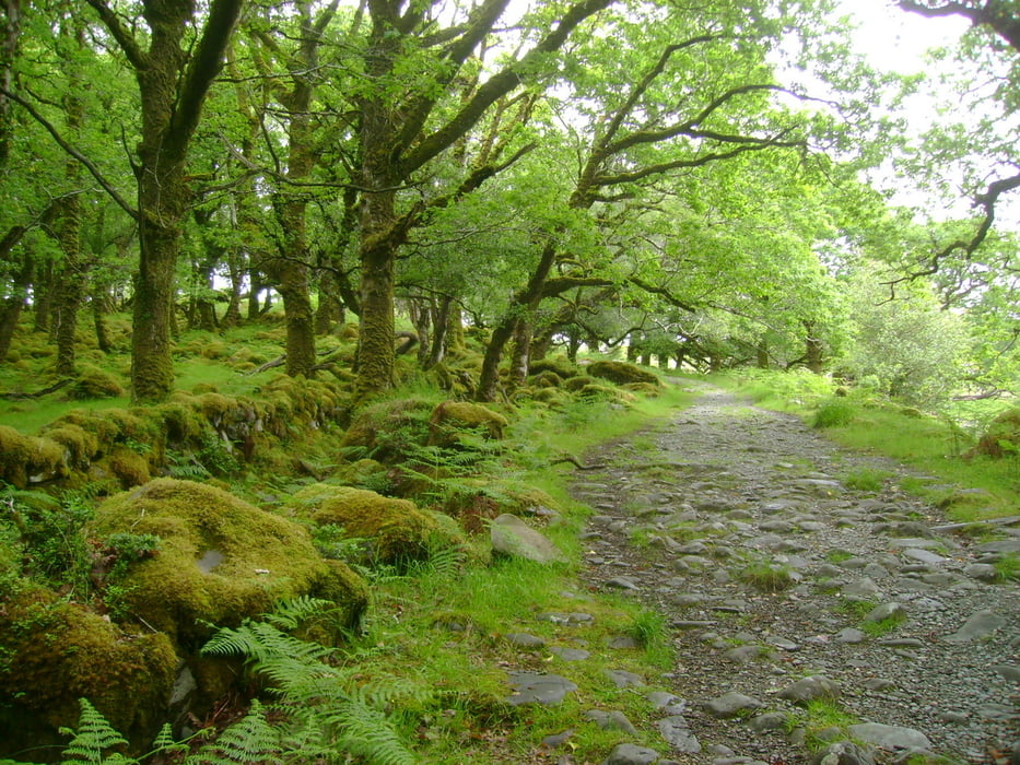 Der Kerry-Way