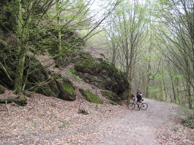 Limburg-Niedererbach-Daubachtal-Haaremauer-Balduinstein-Fachingen-Diez-Limburg