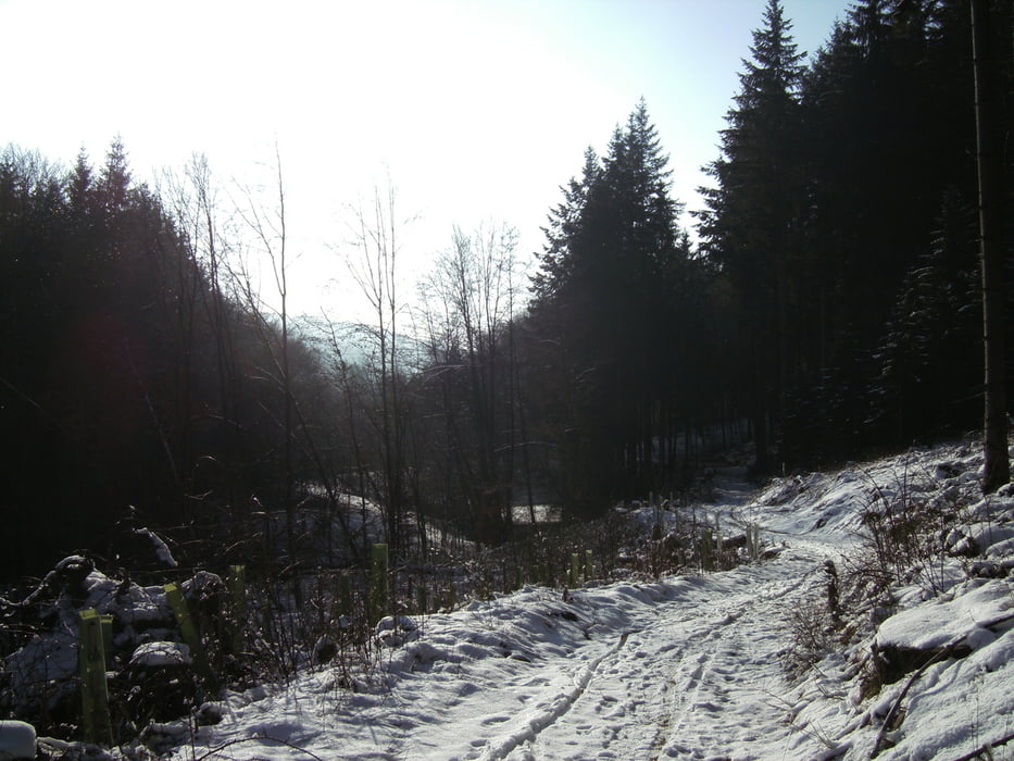 Ober- Schönmattenwag- Raubach