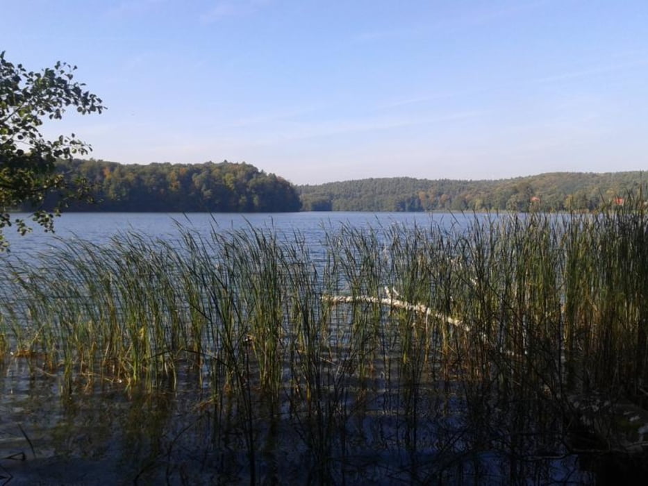 	58. Flecken Zechlin MTB Tour 3, Linow, Binenwalde, Zechow, Rheinsberg, Flecken Zechlin, diverse Seen, schöne Tour ;-))