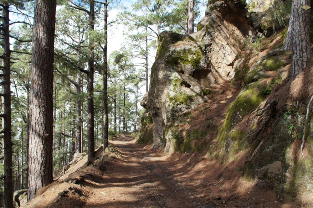 Trails an der Westschulter des Orotava-Tals