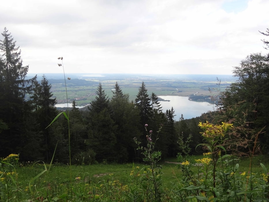 Herzostand Feierabendtour