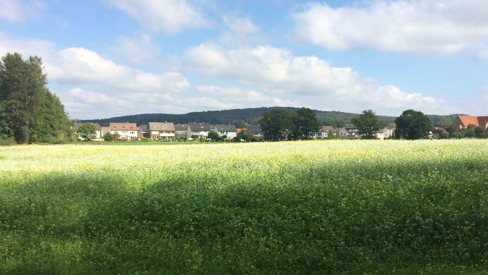 Tecklenburg
