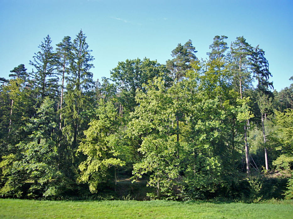 Um die Kreuzelberge