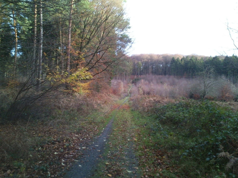 Reichswald 25 km
