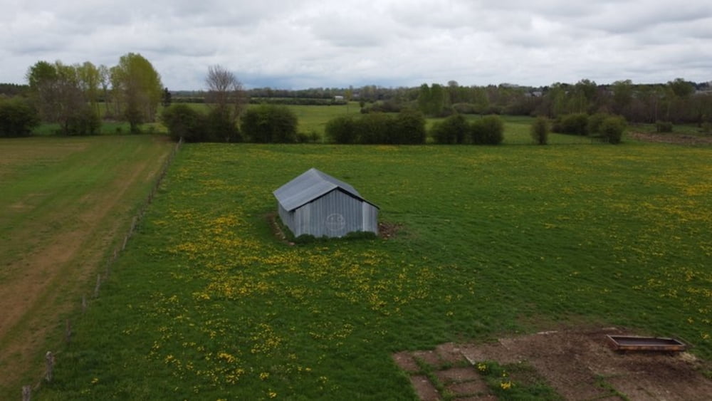 Tintigny