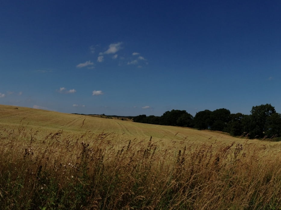 von Binz zum Königsstuhl