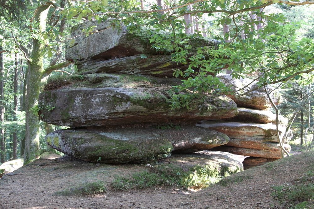 Singletraildream Barr / Vogesen 