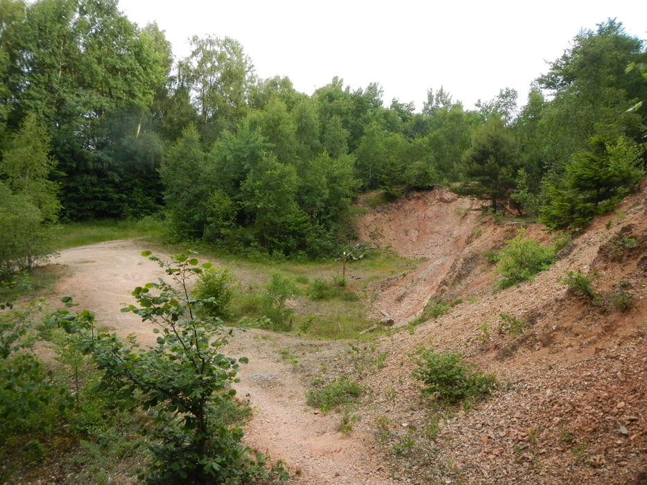 Rhyolitgrube bei Wolfersweiler ("Bärenpfad")