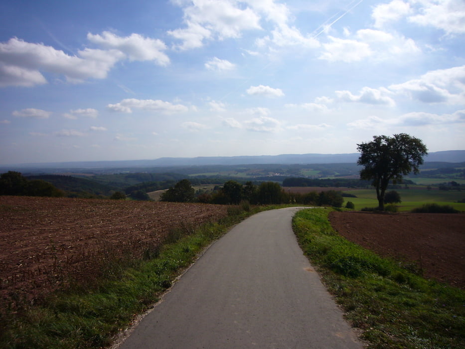 Schönebger-Potzberg-Remigiusberg und zurück