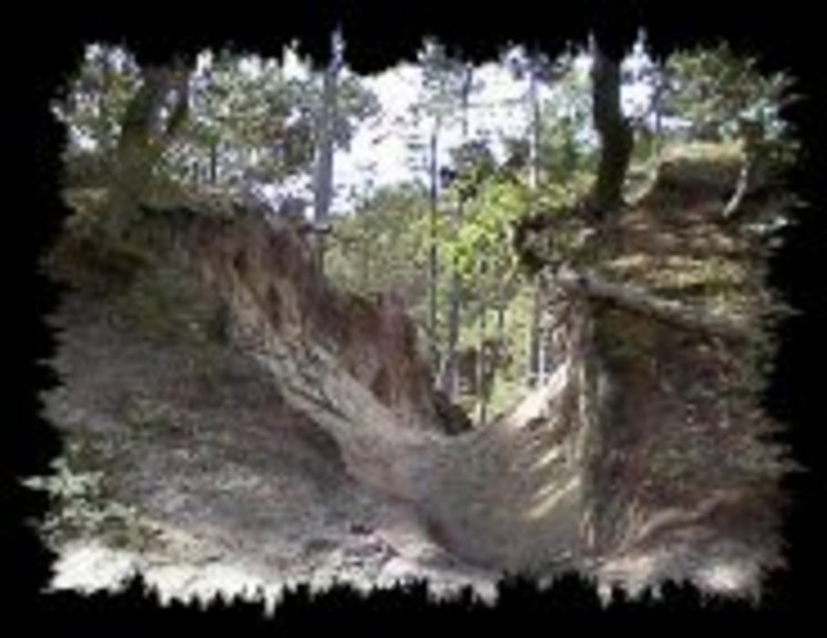 Schoorl MTB route
