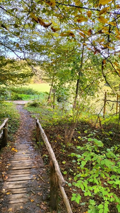 Eglosheim,Stocksberg,MTB Rennweg,Söhlbachtrail