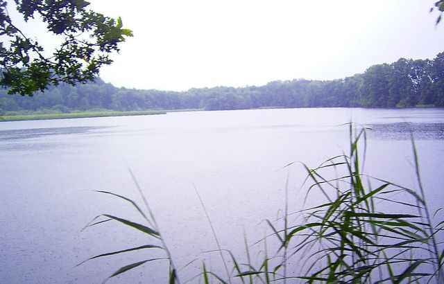 Weingarten (RV) - Baint Vogt Trails