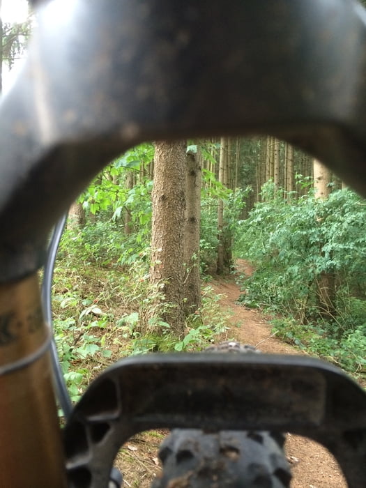 Hidden Trails