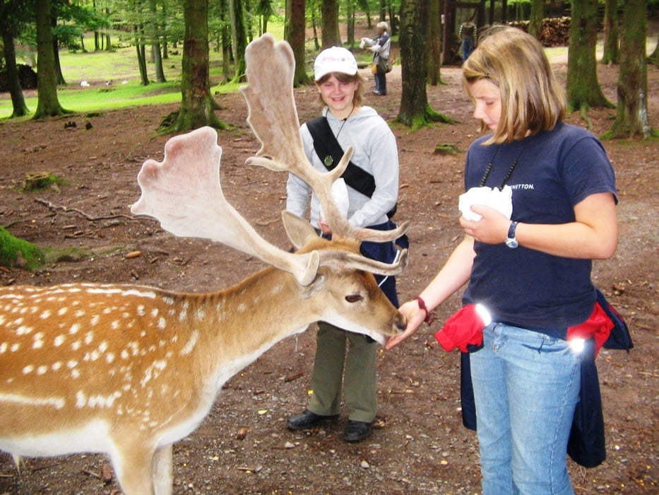 Tierpark Germerode (schwer)