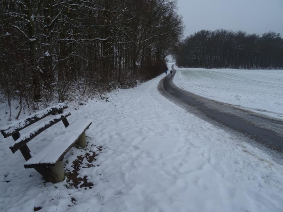 Schneewanderung bei Idstein