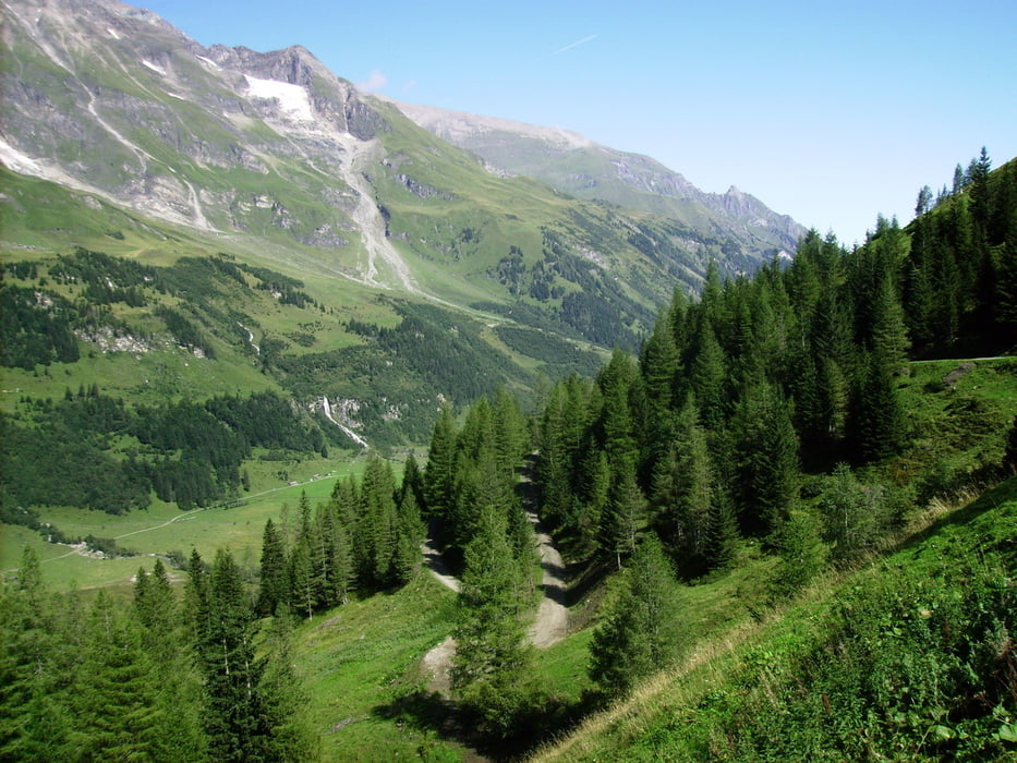 Trauneralm (Ferleiten-/Käfertal)