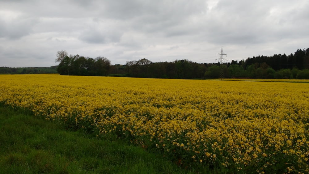170508-Tagesrunde